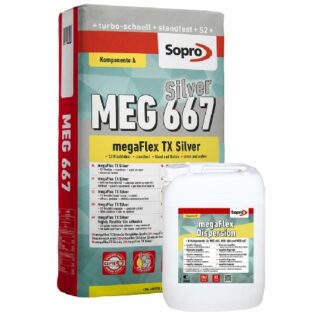 MEG 667 Silver
