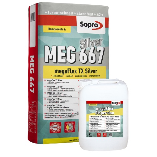 667 MEG 667 Silver